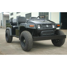 Great Product 5kw Hunting Buggy Truck